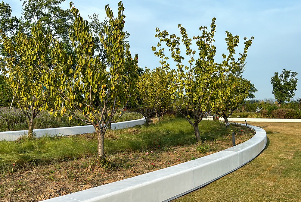 阿爾博藝術(shù)坐凳——濕地公園景觀